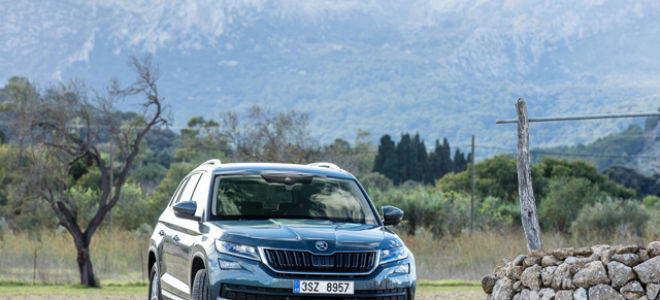 Тест-драйв шкода кодиак в сокольниках