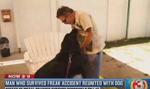 Желание спасти собаку во время столкновения спасло жизнь ему самому